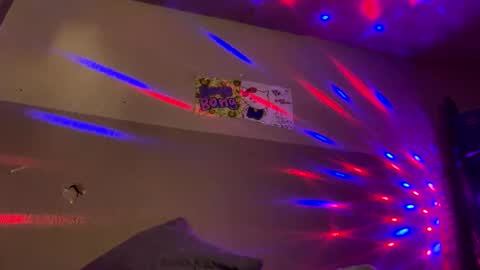 BellaMiaHerChicoBestia online show from 12.29.24
