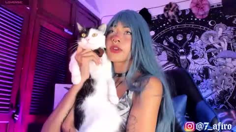   -    online show from 02.12.26