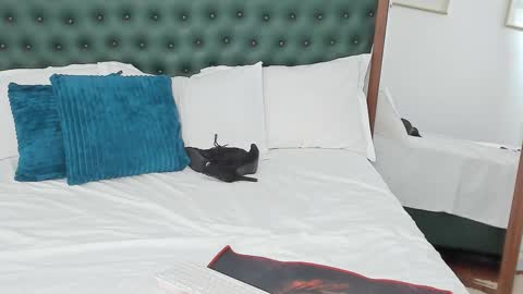 IvyHotFoxy online show from 02.13.26