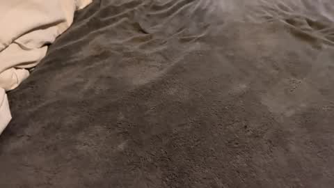 Snapshot of j_m12397 chatting on 02.27.26 j_m12397 online show from 02.27.26