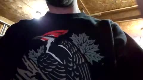 Dess online show from 01.05.25