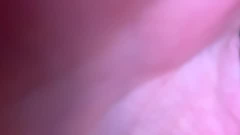 jackjackerman online show from 10.21.25