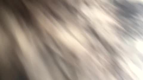 Jacob online show from 05.08.26
