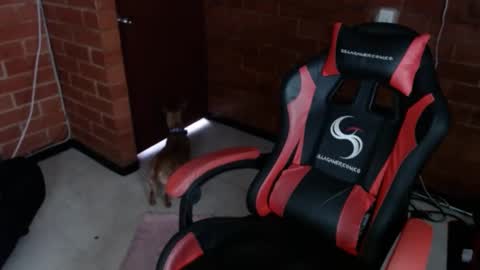 Snapshot of jadesexfun chatting on 03.12.25 jadesexfun online show from 03.12.25