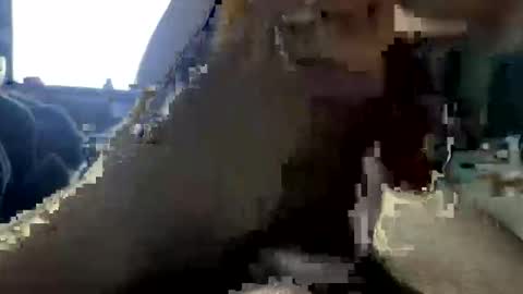jalenwnut online show from 05.25.26