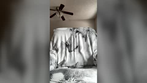 jameswolf777 online show from 04.07.26