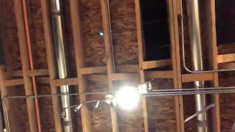 Snapshot of jamie19905 chatting on 10.29.25 jamie19905 online show from 10.29.25