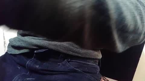 Bootyshows online show from 10.30.25