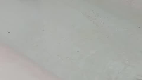 Bootyshows online show from 07.25.26