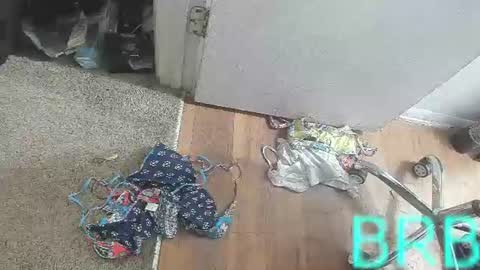 Bootyshows online show from 08.02.26