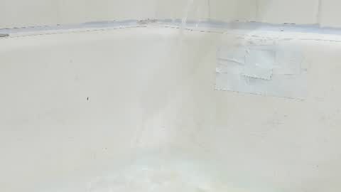 Bootyshows online show from 08.04.26