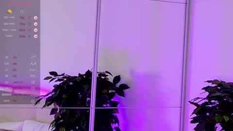 your kitty JANE roawww online show from 12.14.25