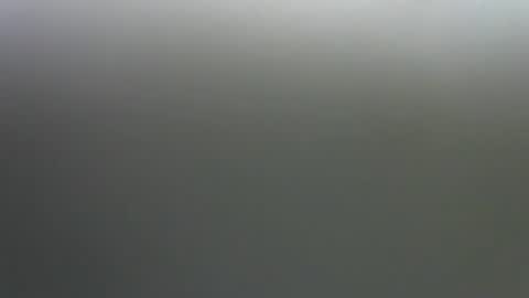 Jane online show from 11.14.25