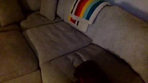janicepepper online show from 05.21.26
