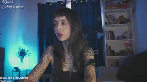 Snapshot of janne_maybe chatting on 06.02.26 jmaybe e online show from 06.02.26