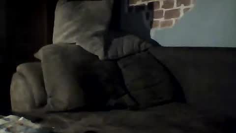 Jan88 online show from 02.22.25