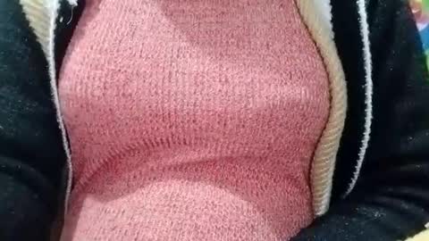 jasspreettt online show from 01.04.25