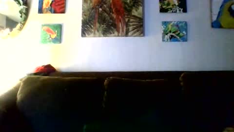 jay-jay1475 online show from 02.11.26