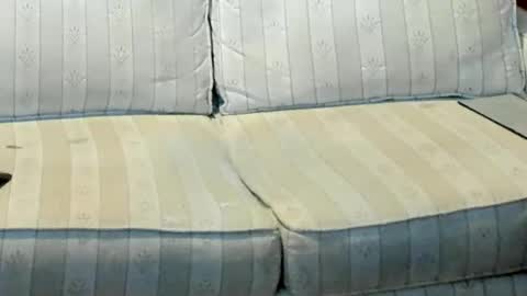 O F   jay short786 online show from 01.12.26