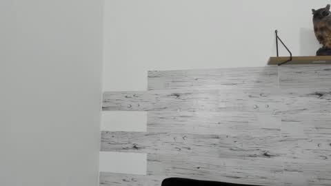 Jaycreedd online show from 02.22.25