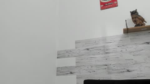 Jaycreedd online show from 11.16.25