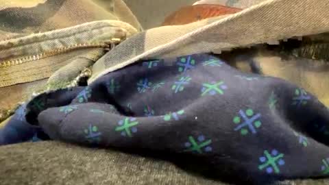 jbigblue online show from 09.28.25