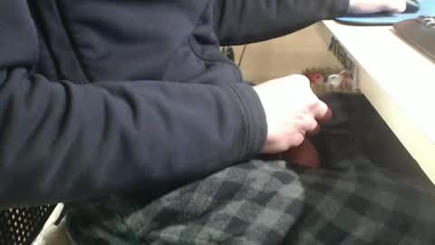 Snapshot of jc200000 chatting on 01.29.25 jc200000 online show from 01.29.25