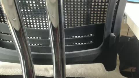 Snapshot of jc200000 chatting on 02.17.25 jc200000 online show from 02.17.25