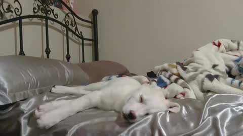 Jack online show from 02.02.26