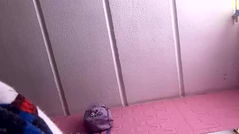 jdsj1a873165 online show from 03.18.26