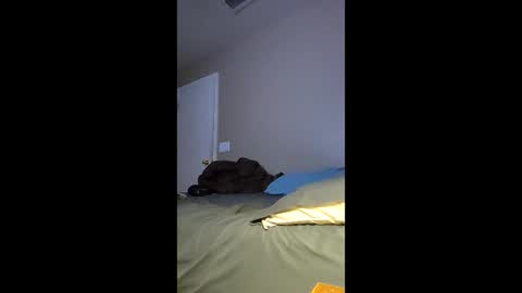 jdtripp15 online show from 02.15.26