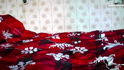 jellykulli online show from 12.31.24