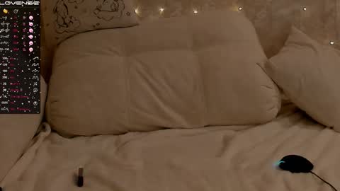 Snapshot of jeniferji chatting on 03.19.26 EvaSileZ online show from 03.19.26