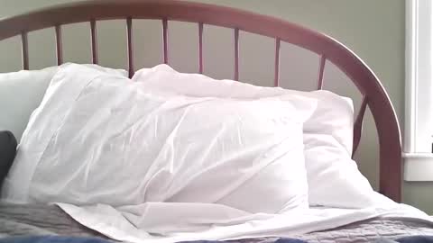 Snapshot of jerkingmanforyou chatting on 03.15.26 jerkingmanforyou online show from 03.15.26