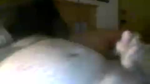 Snapshot of jerkmate6666 chatting on 07.20.26 jerkmate6666 online show from 07.20.26