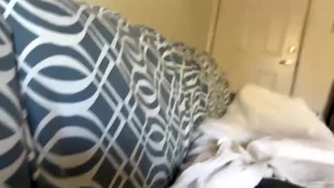 Jerkstar16 online show from 12.05.24