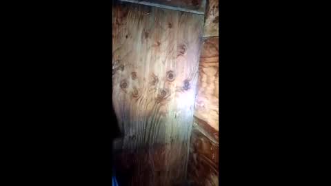 jessemwl8 online show from 03.26.26