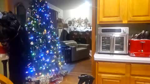 seductress Cyber Succubus online show from 12.18.25