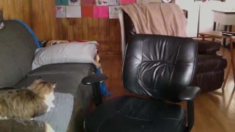 jettadude5 online show from 01.25.25