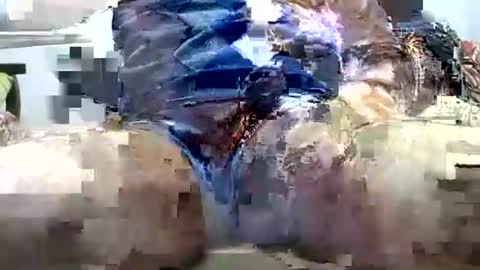 Snapshot of jimii281 chatting on 03.25.26 jimii281 online show from 03.25.26