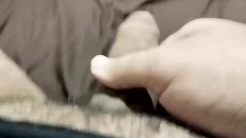 jj3377 online show from 10.26.25