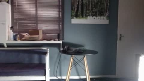 JamesJan van Rebel online show from 12.18.25