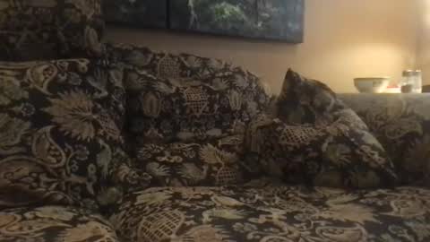 Snapshot of jlk7777 chatting on 12.04.24 jlk7777 online show from 12.04.24