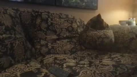 Snapshot of jlk7777 chatting on 02.25.25 jlk7777 online show from 02.25.25