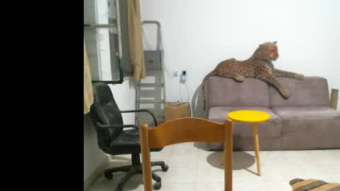 jlmbud online show from 10.11.25