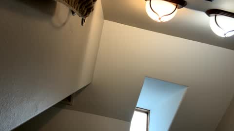 Jimmy online show from 02.03.25