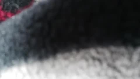 Jimmy online show from 02.23.25