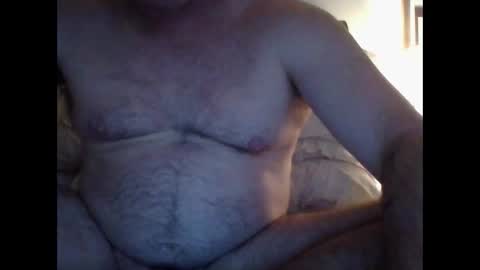 jnpip77463169 online show from 03.14.26