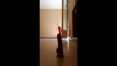 jobi88 online show from 04.05.26