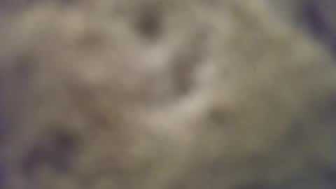 Snapshot of joemomma612 chatting on 10.14.25 joemomma612 online show from 10.14.25